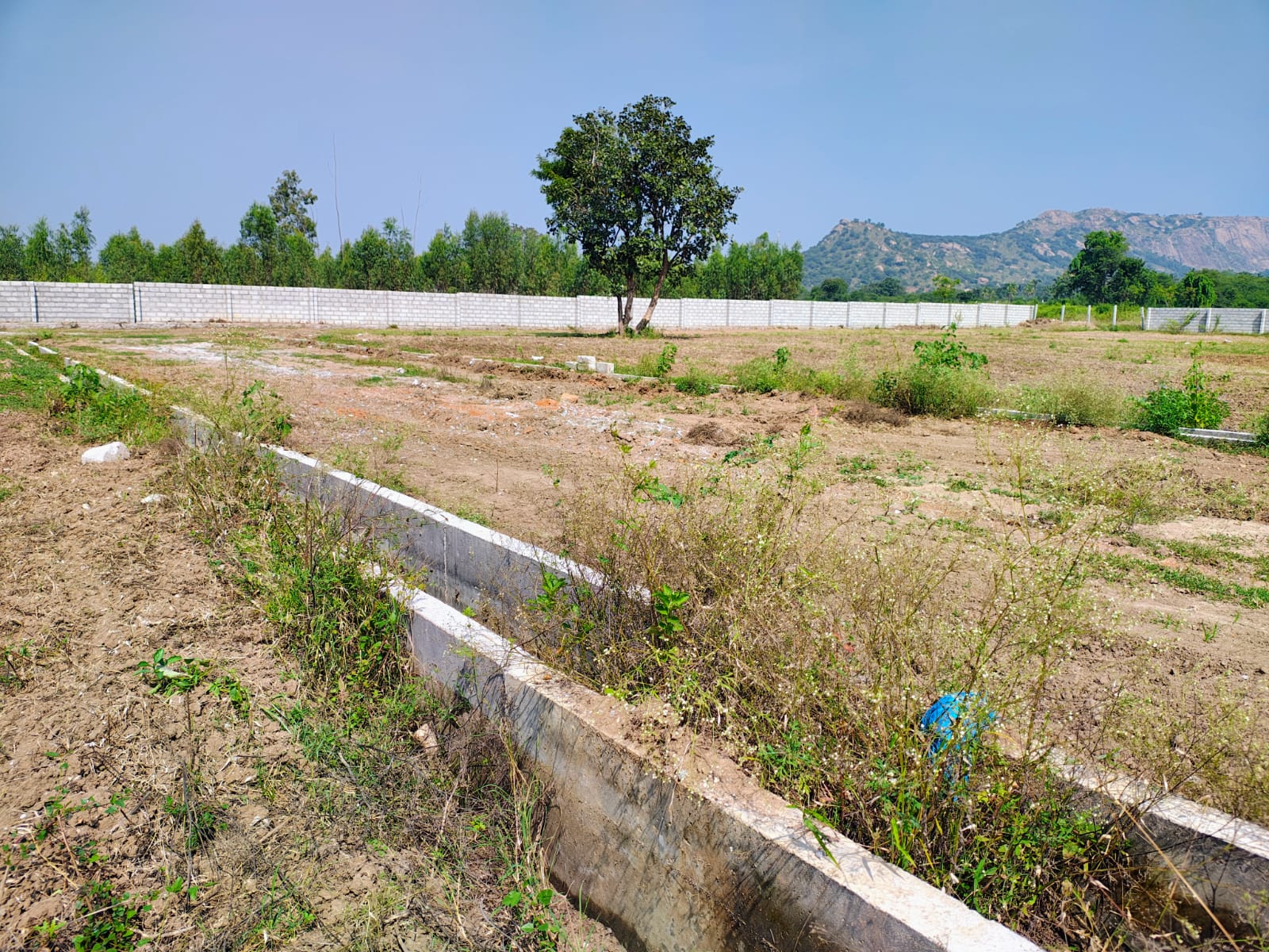 Sarvada The Green Valley